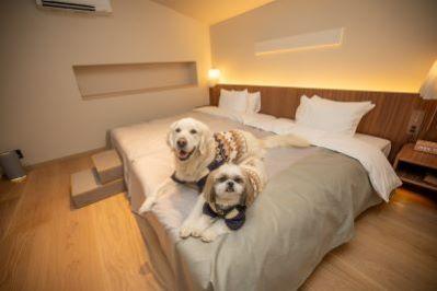 【正社員】愛犬と泊まれるホテル接客スタッフ